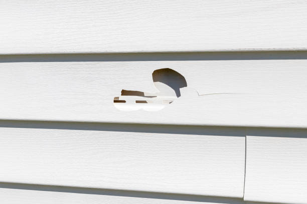Best Storm Damage Siding Repair  in Elk Grove, CA